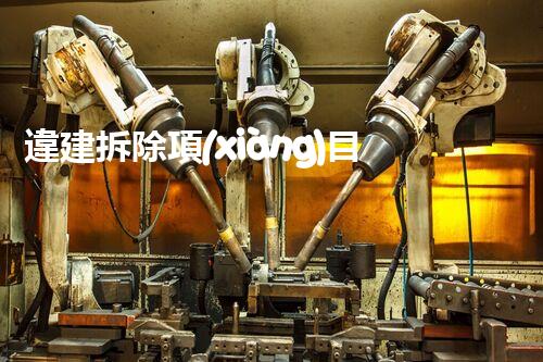 違建拆除項(xiàng)目：重塑都市風(fēng)貌，共建和諧家園